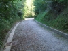 DSCF1043.jpg