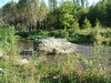 DSCF1048.jpg