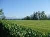 DSCF1058.jpg