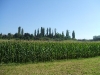 DSCF1080.jpg