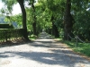 DSCF1097.jpg