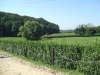 DSCF1104.jpg