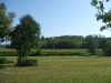 DSCF1111.jpg