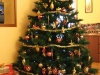 DSCF1399.jpg
