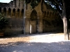 P9080033.JPG