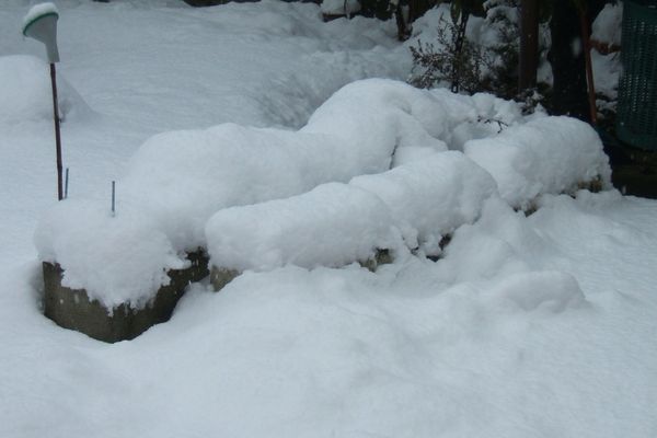 Scende la Neve